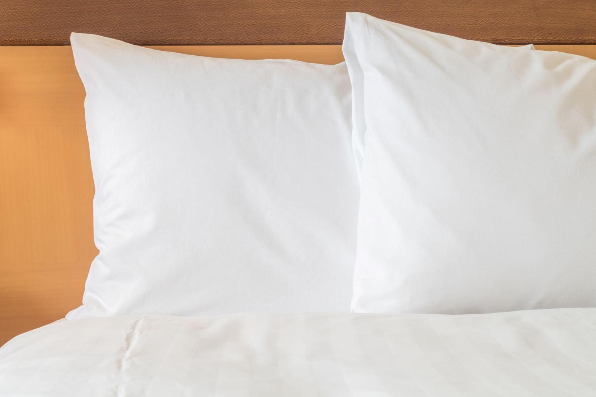 Holiday Inn Express St. Louis Central West End By Ihg Εξωτερικό φωτογραφία